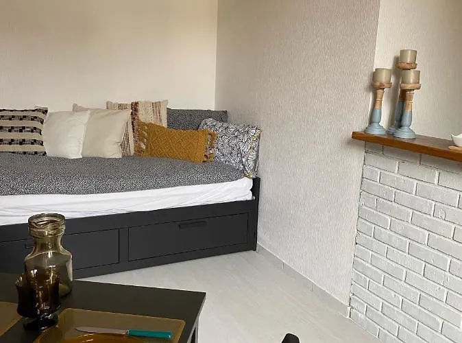 Apartman Le Nid - Place Emile Zola / Parking Gratuit *