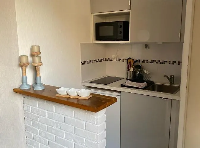 Apartman Le Nid - Place Emile Zola / Parking Gratuit *